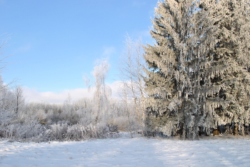 Winter Lake / ***