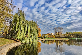 Herbst im Park der Freundschaft / ***