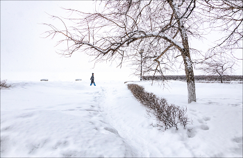 Schnee / ***