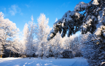 Wintermärchen. / ***