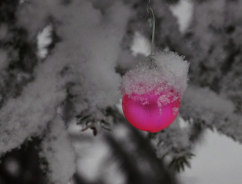 Weihnachten / ***