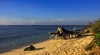 Bird Island Strand / ***