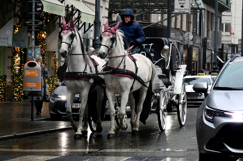 From the street on Vienna. / ***