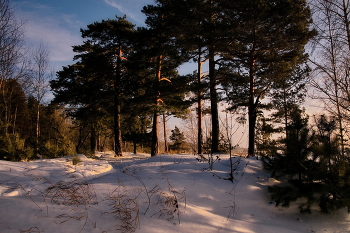 Winterabend. / ***