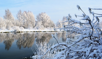 Schnee der Bank / ***