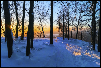 Sonnenaufgang im Wald / ***