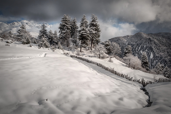 View Near Tsvirmi Village / ***