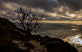 Irgendwo auf der Außenkante der Grund / ***