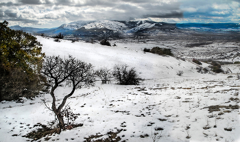 Winterwanderung / ***