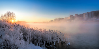 Stadt im Nebel / ***