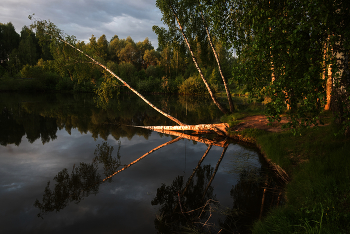 Morgen auf dem See. / ***