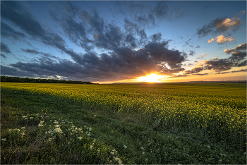 Abenddämmerung / ***