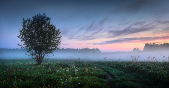 Morgendämmerung / ***