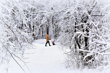 Winterwanderung / ***