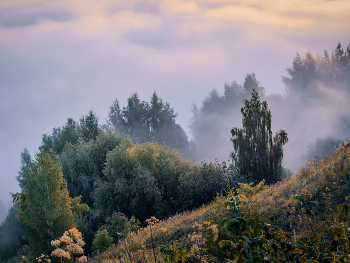 Nebel zerstreut / ***