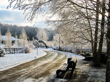 Snowy Park / ***