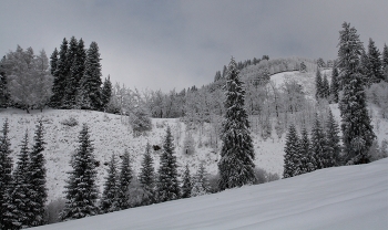 Winter in den Bergen / ***