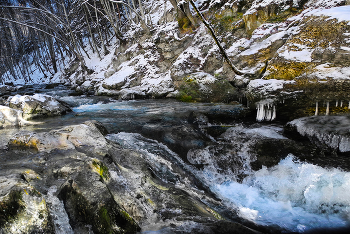 Forest River / ***