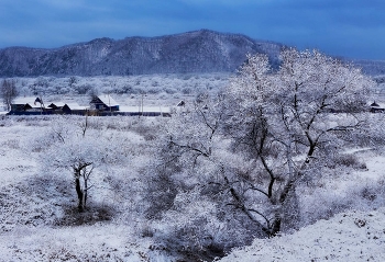 blue morning / ***