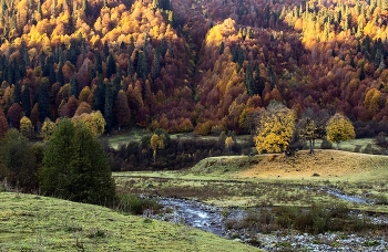 Herbst in den Bergen. / ***