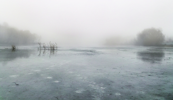 Winternebel / ***