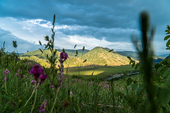 Altai-Gebirge / ***