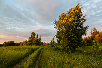 Windigen Abend / ***