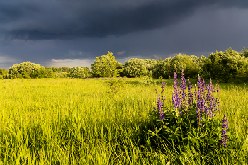 Vor dem Sturm / ***