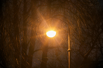 Taschenlampe / ***
