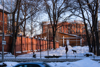 Abendspaziergang / ***