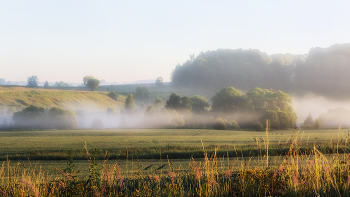 Sonnig Nebel / ***