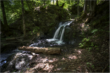 Im Wald / ***