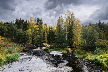 Forest River / ***