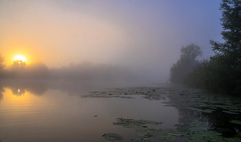 Herbstnebel. / ***