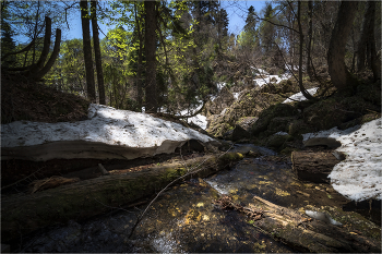 Frühling liegt in der Kaukasus / ***