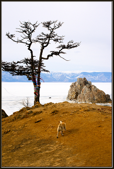 Baikal / ***