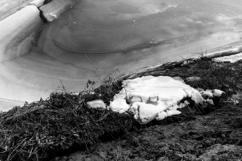 Leben rund um / ***