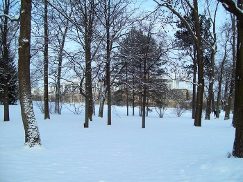 In Zarskoje Selo / ***