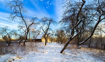Der Winter ist zurück / ***