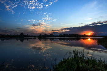 Sonnenaufgang im Wald / ***