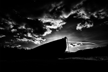 Leben rund um / ***