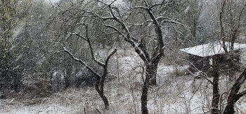 Der Winter ist zurück / ***