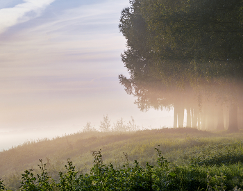Nebel zerstreut / ***