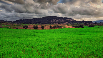 Pira - camps sembrats - Conca de Barberà / Pira - camps sembrats - Conca de Barberà