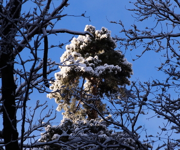 SNOW PEAK / ***