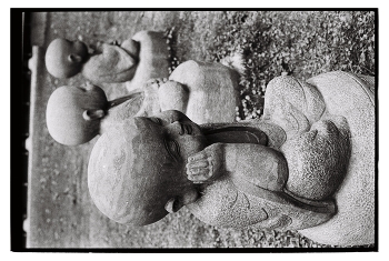  / Kodak 400tx 2
#sheglovaphoto