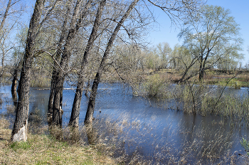 High-Water- / ***