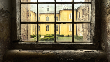Rear Window / ***