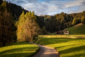 Evening road / ***