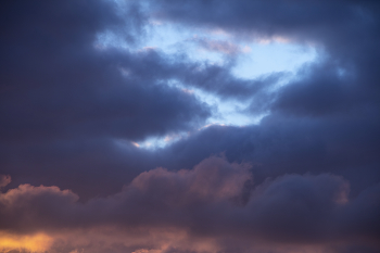 Gradient / ***